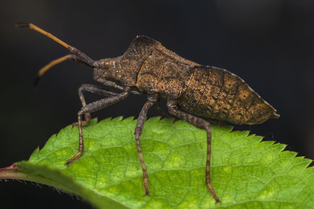 Photograph by Денис Ветренко