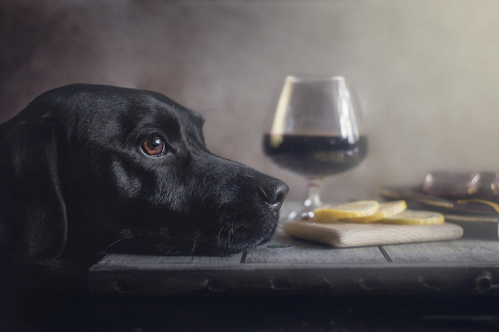 Photograph by Лисий Дарья