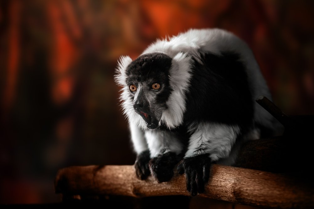 Photograph by Шихалеева 