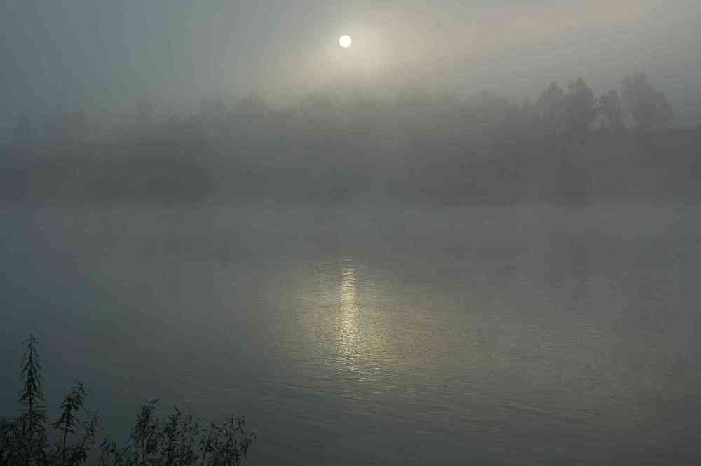 Туманный пейзаж/ Misty Landscape