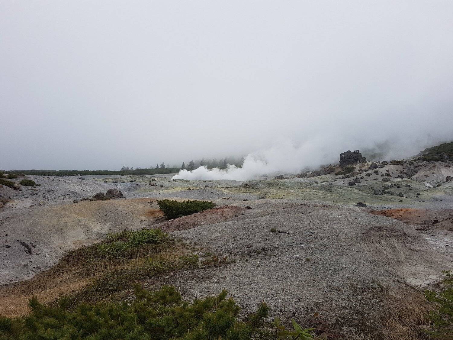Photo #3998256