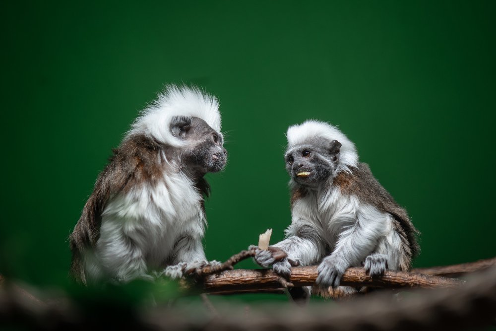 Photograph by Шихалеева 