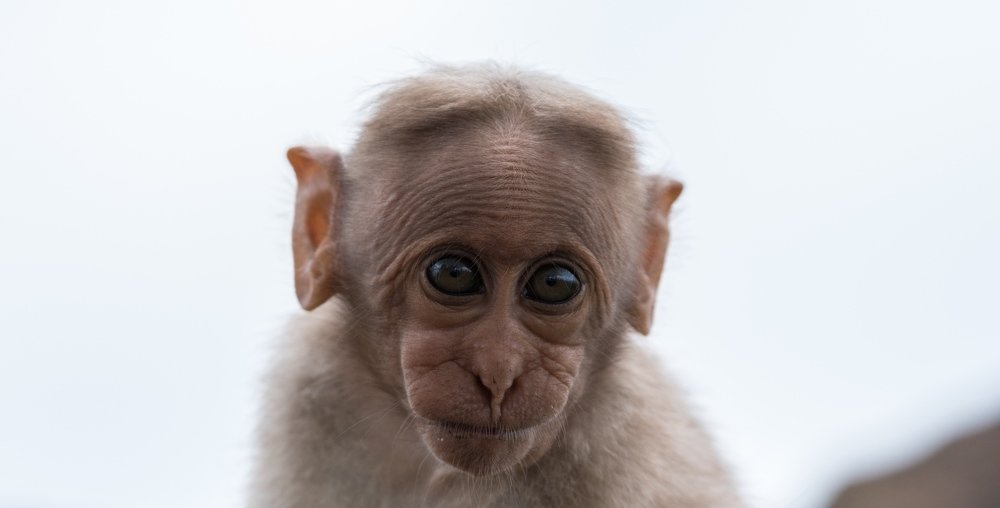 Photograph by  Rohan Bharadwaj