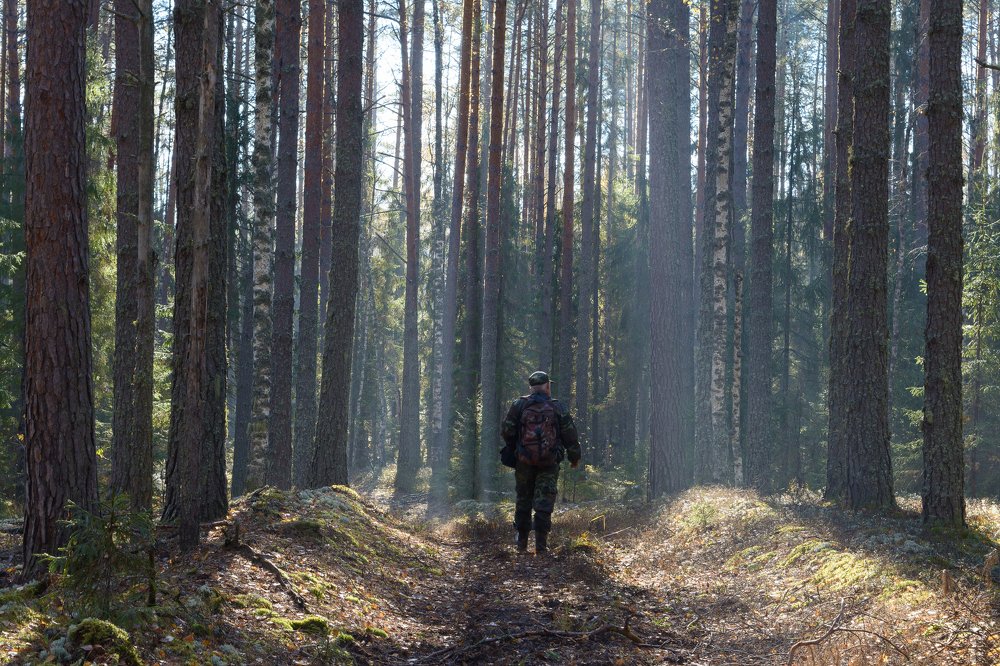 Photograph by Илья Мефодьев