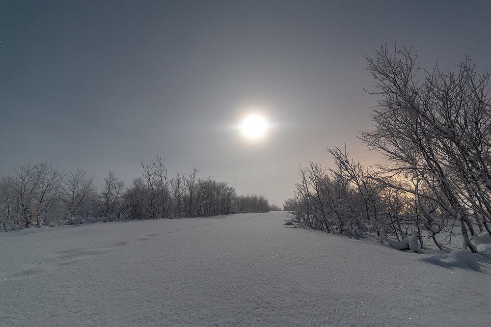 Photograph by Ольга Мурашева