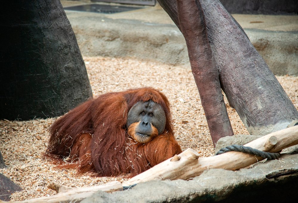 Photograph by Юлия Борт