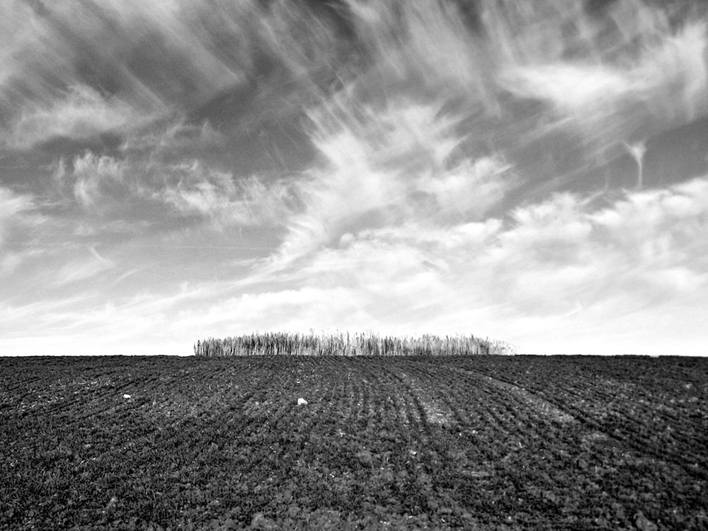 Photograph by Степанов Евгений