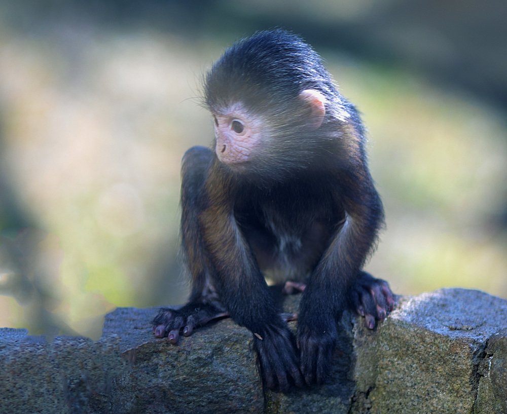 Photograph by Наталья Шалкевич