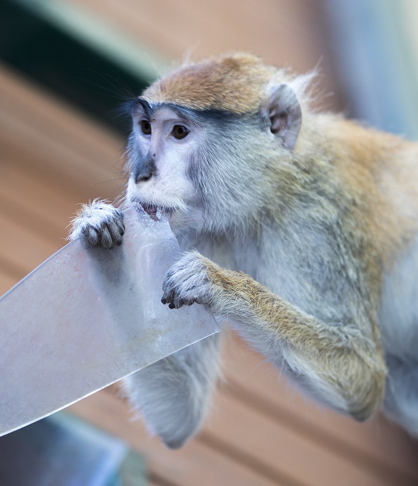 Photograph by Наталья Шалкевич