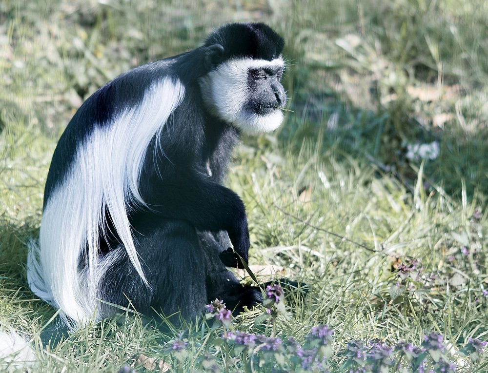 Photograph by Наталья Шалкевич