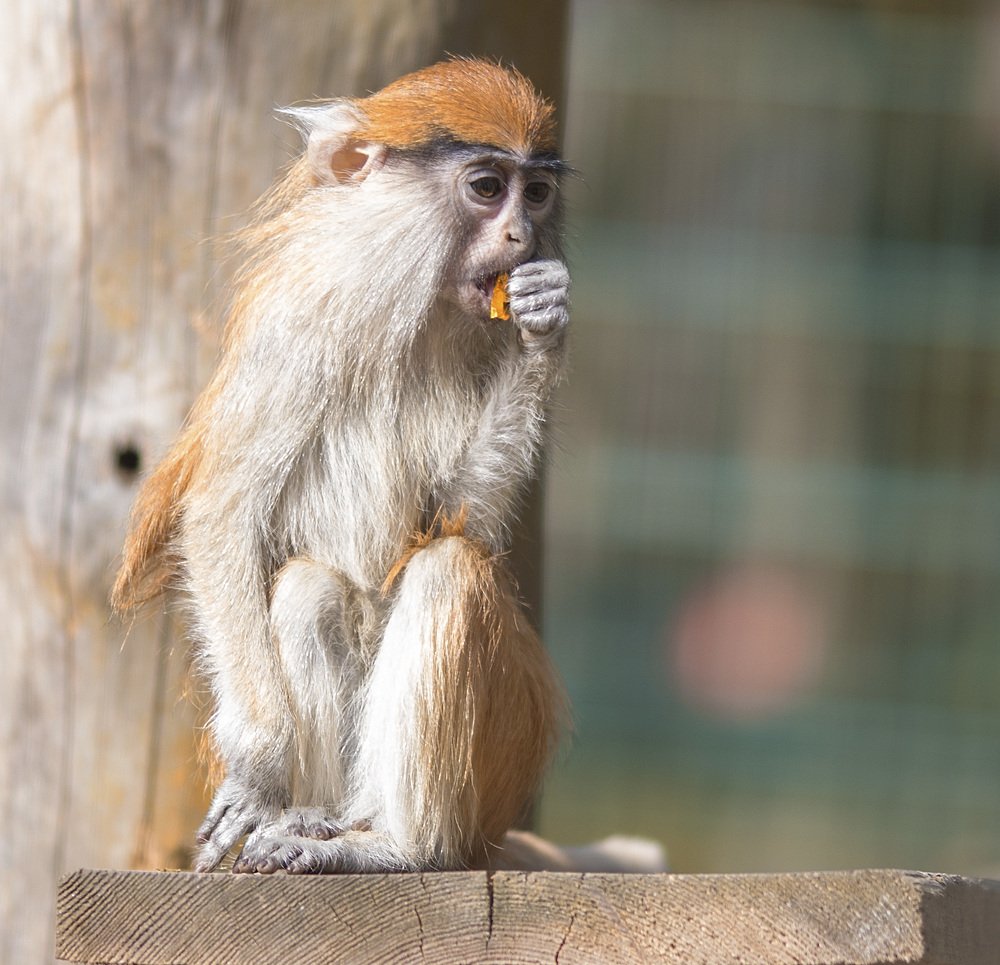 Photograph by Наталья Шалкевич