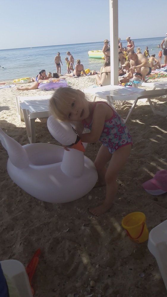 Photo #3998537