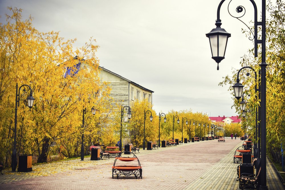 Photograph by Александр Шипов