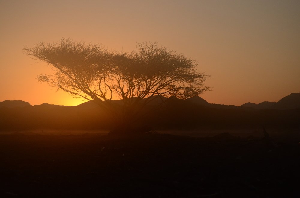 Фотография автора Muhammad Haris