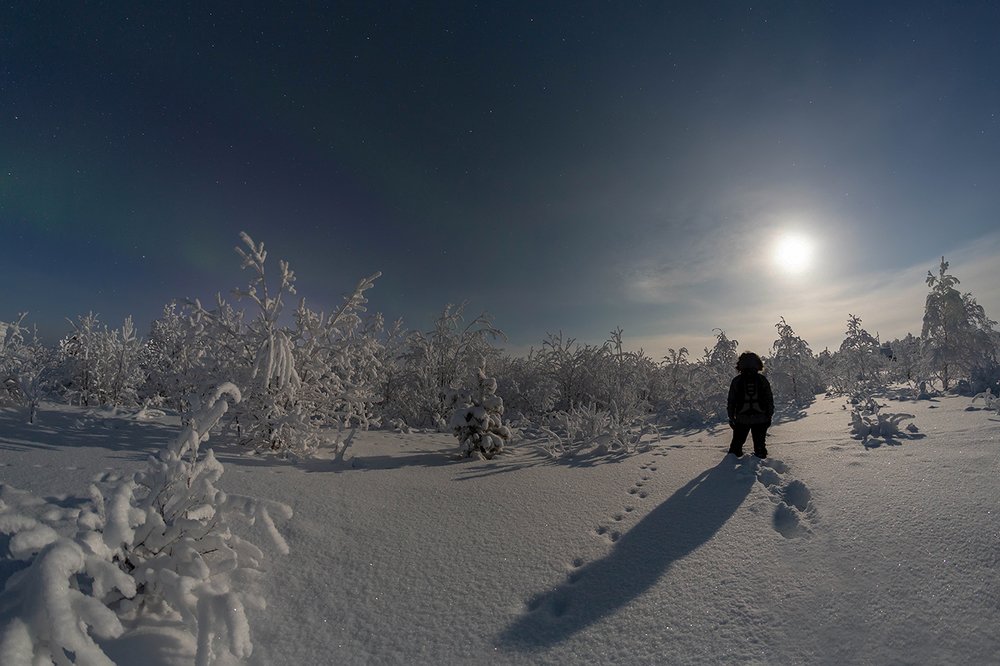 Photograph by Ольга Мурашева