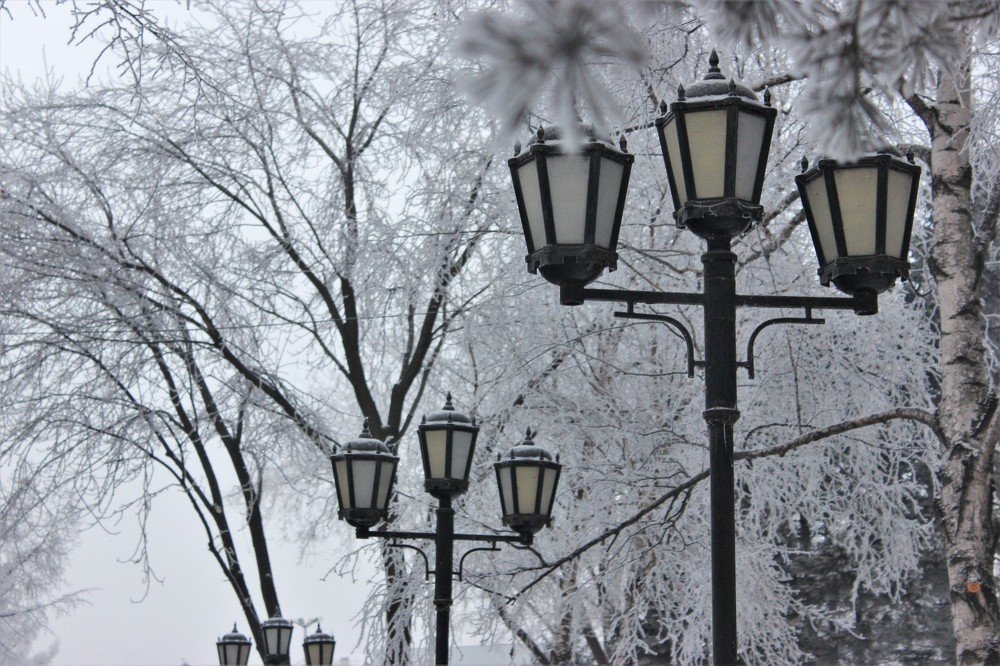 Photograph by Дмитрий Прокопяк