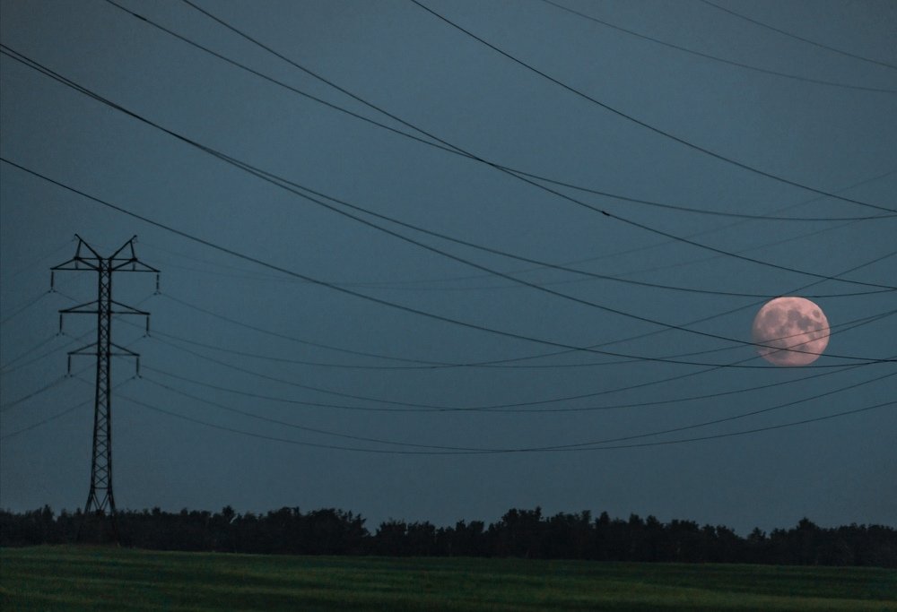 Photograph by Вероника Раевская