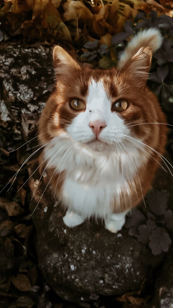 Photograph by Ирина Львова