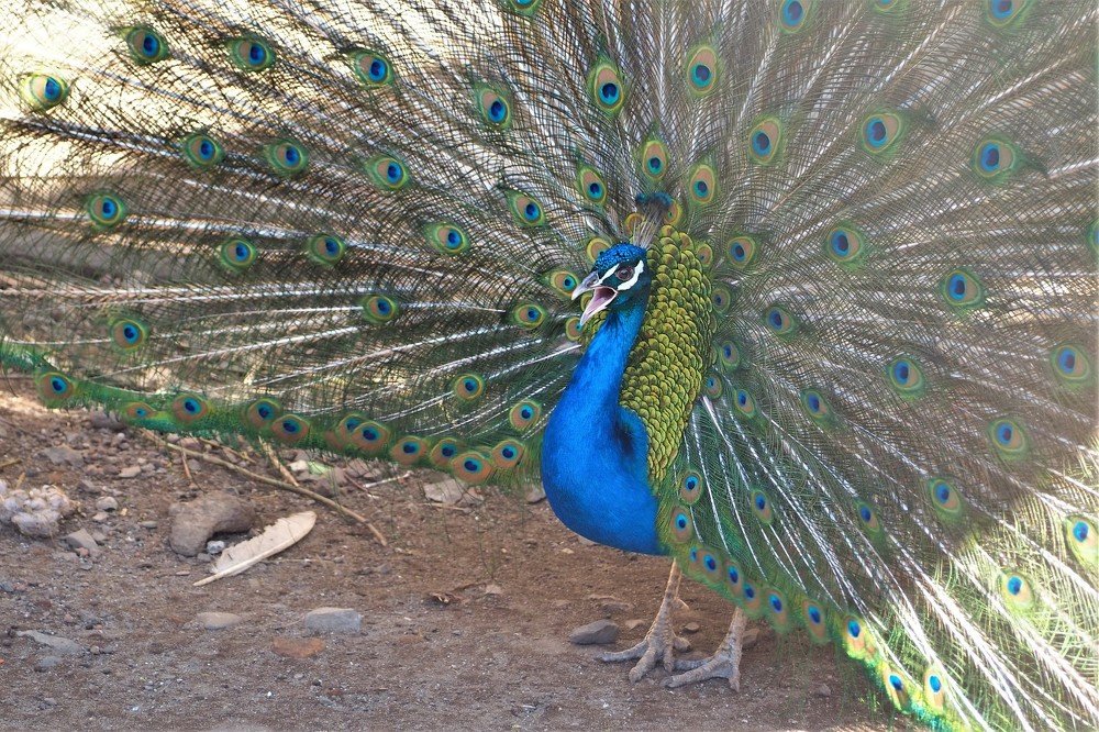 Photograph by Дмитрий Прокопяк