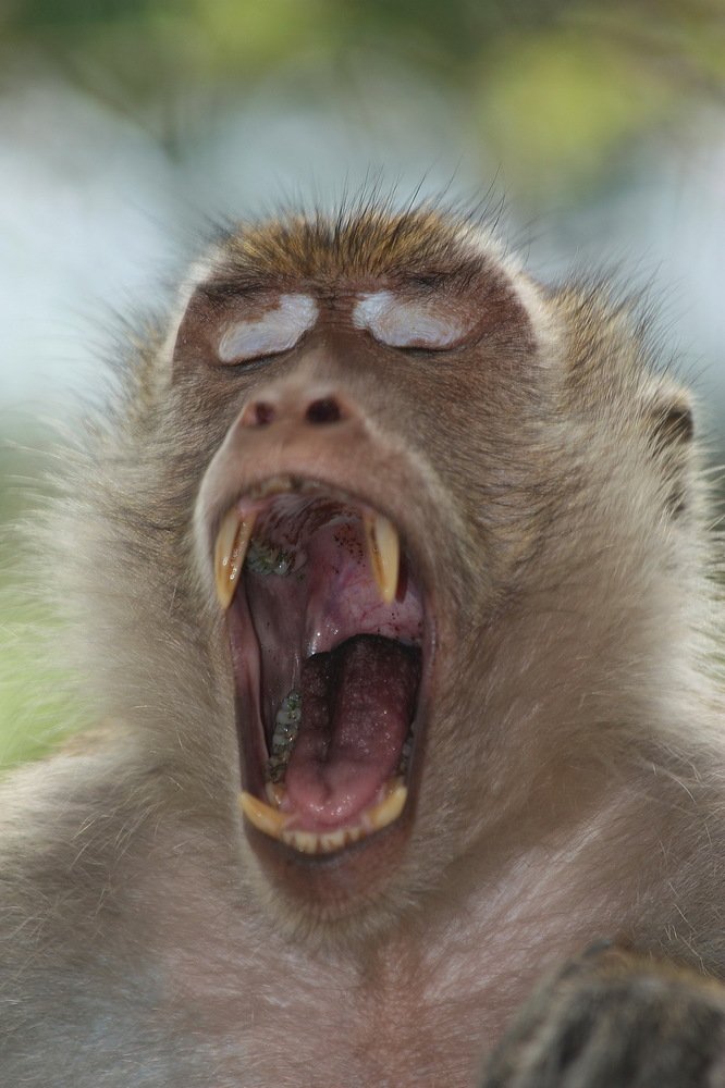 Photograph by Александр Юдин