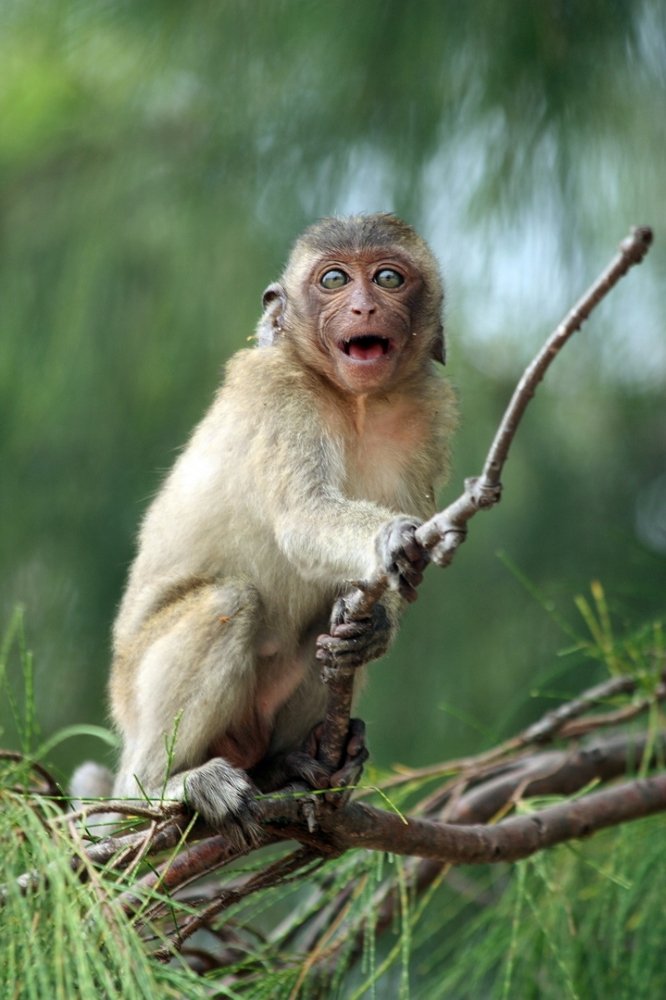 Photograph by Александр Юдин