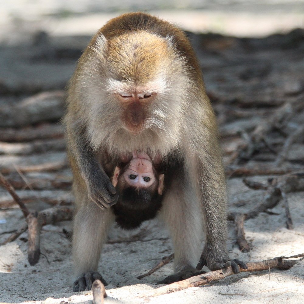 Photograph by Александр Юдин