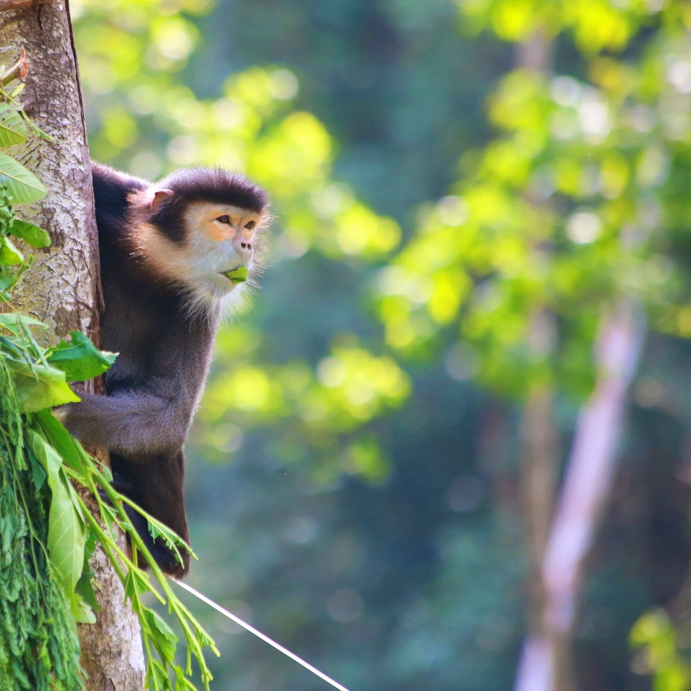 Photograph by Александр Юдин