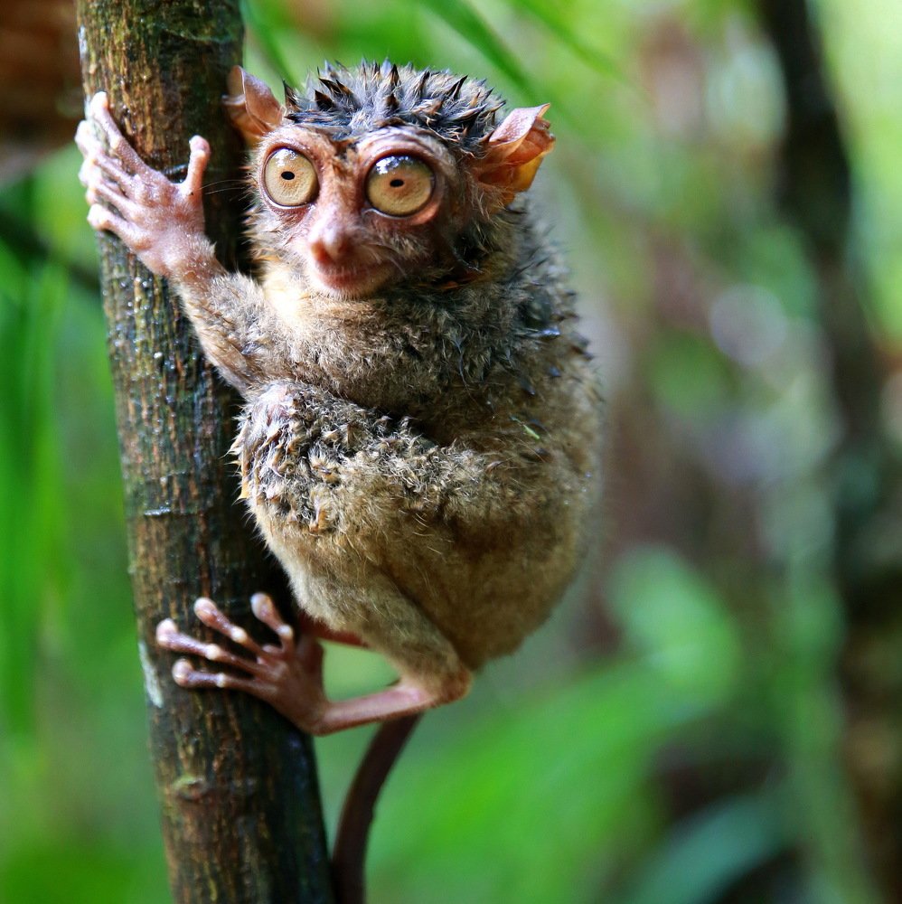 Photograph by Александр Юдин