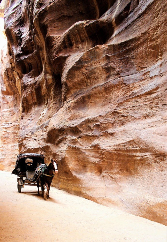 Photograph by Илалов Рустам