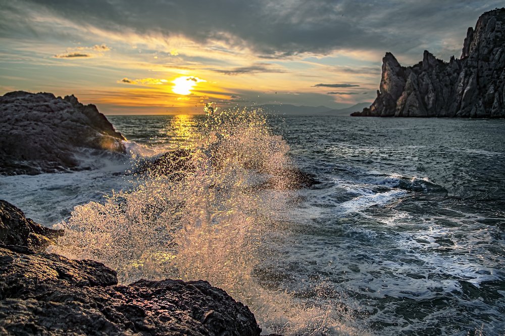 Солнечный кот