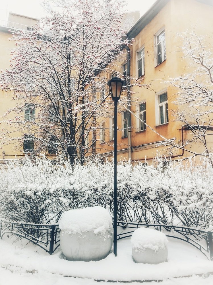 Тихий дворик