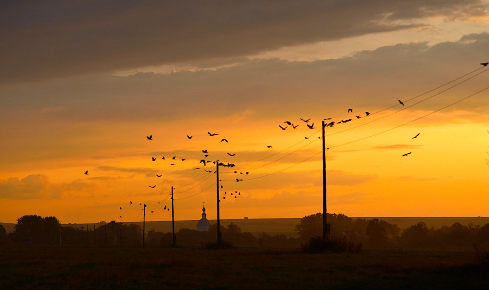 Photograph by Елена Парилова