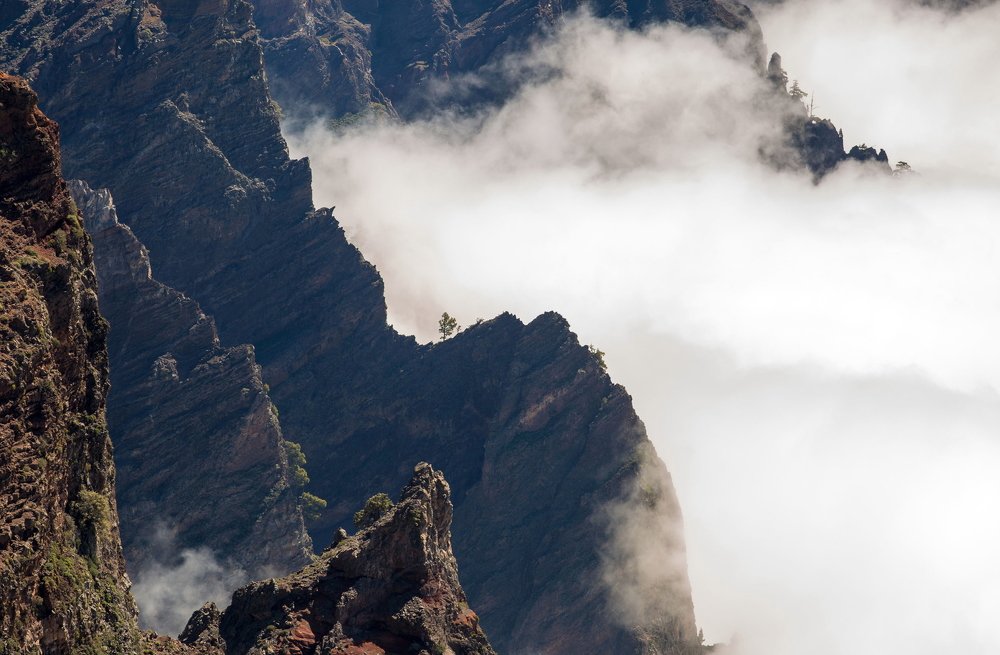 Photograph by Евгения Чех