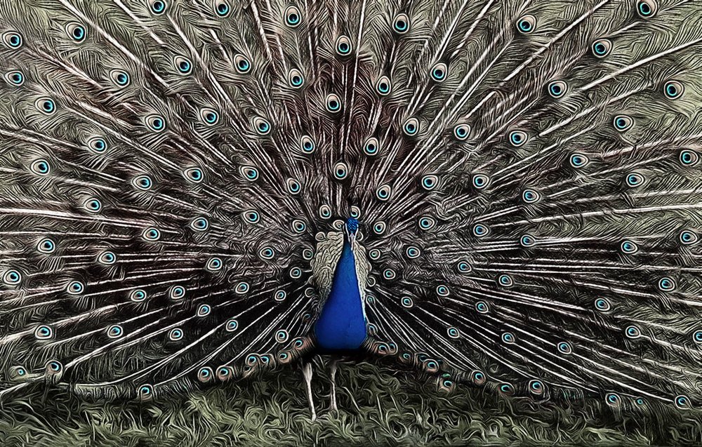 Фотография автора Александр Далла