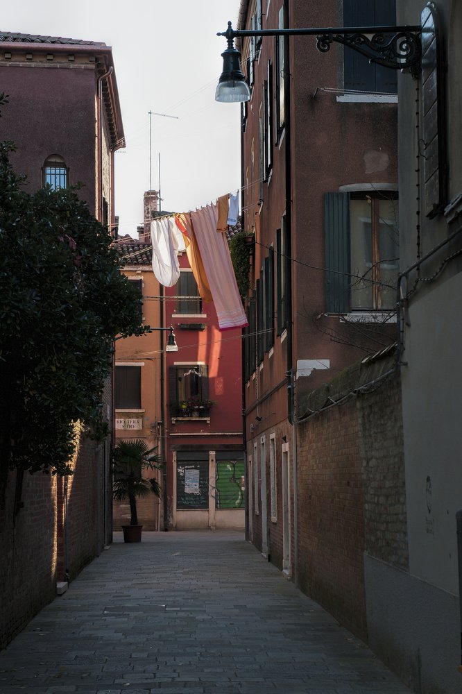 Photograph by Irina Grigoryeva