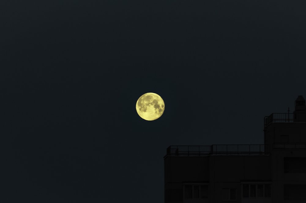 Photograph by Даниил Хармушко