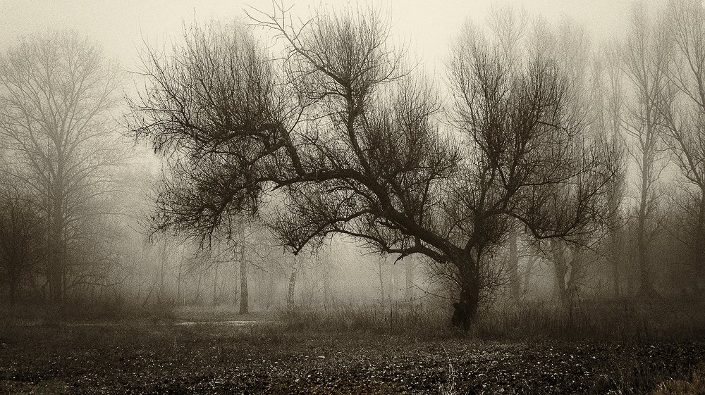 Photograph by Сергей Епишев