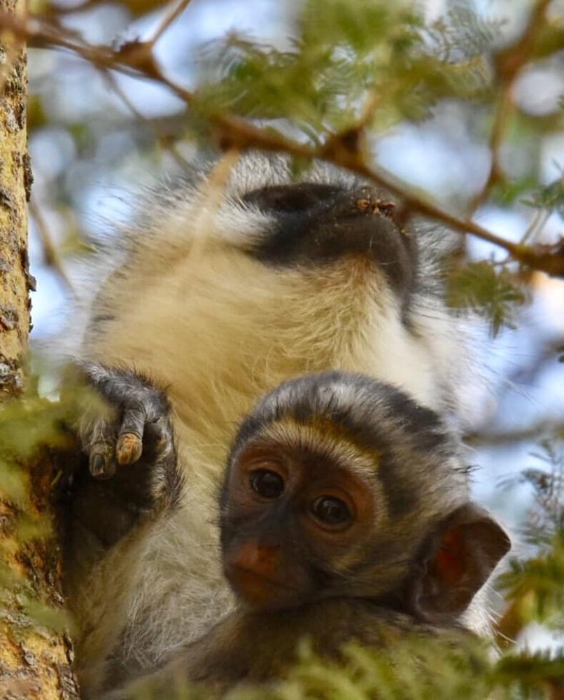 Photograph by Federico Genovese