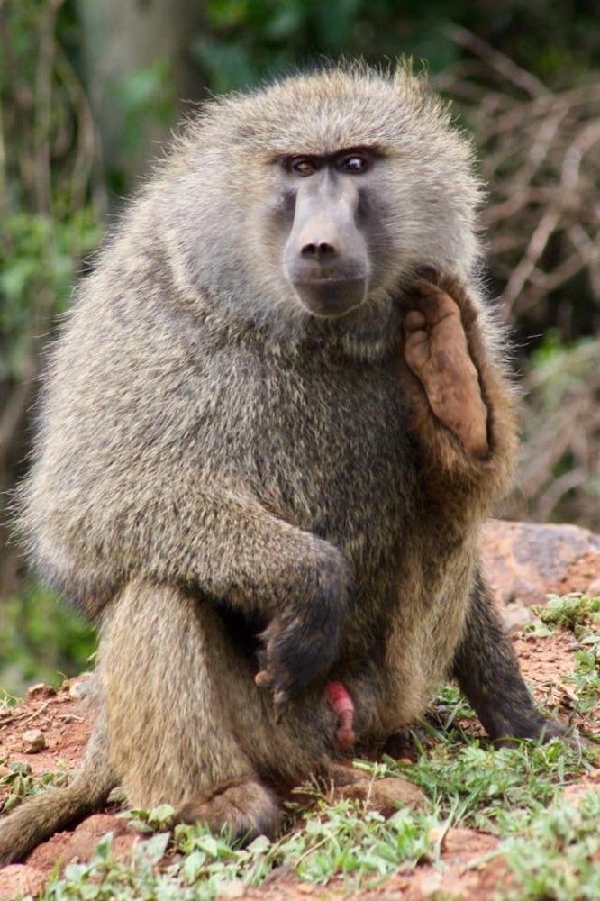 Photograph by Federico Genovese