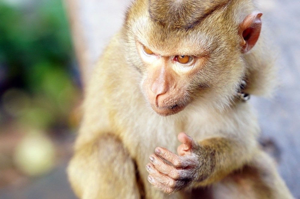 Photograph by Валерий Зарайсько