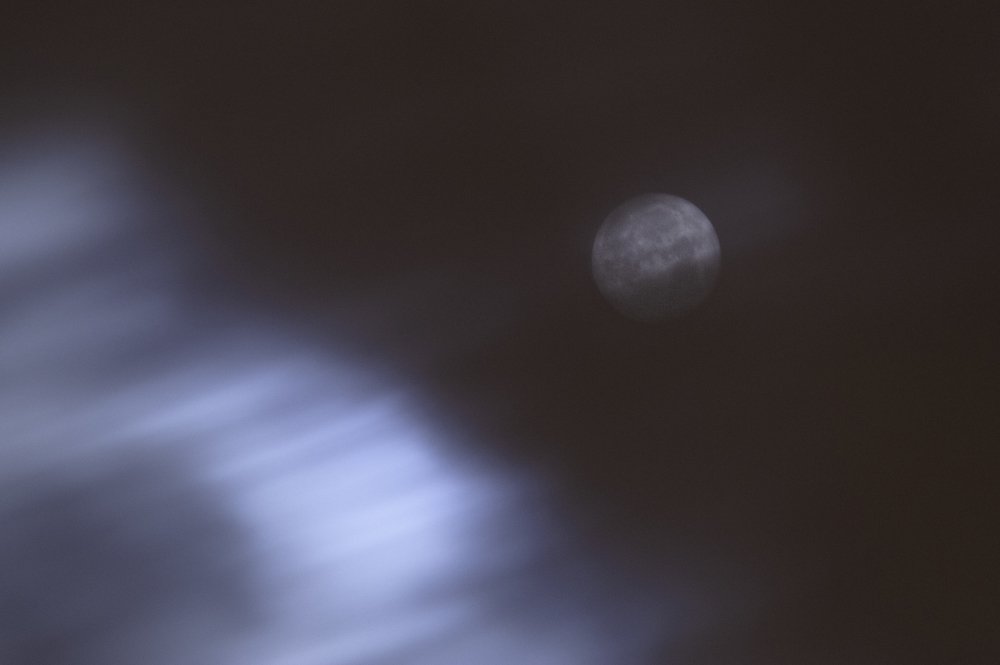 Photograph by Даниил Хармушко