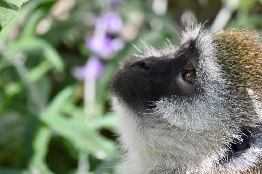 Photograph by Federico Genovese