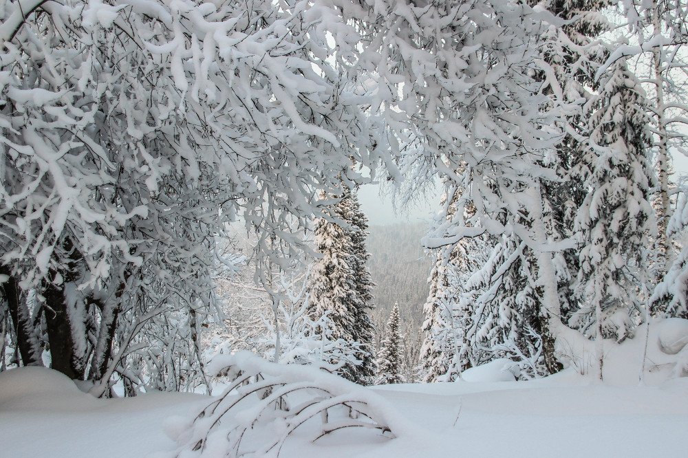 Photograph by Юлия