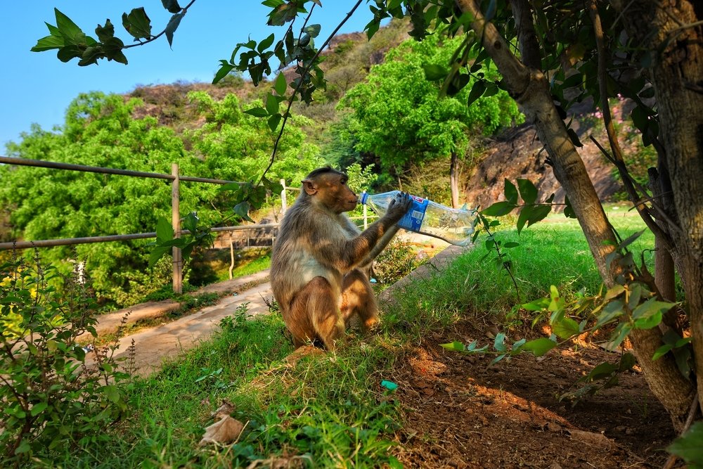 Photograph by Ujwal Pasupuleati