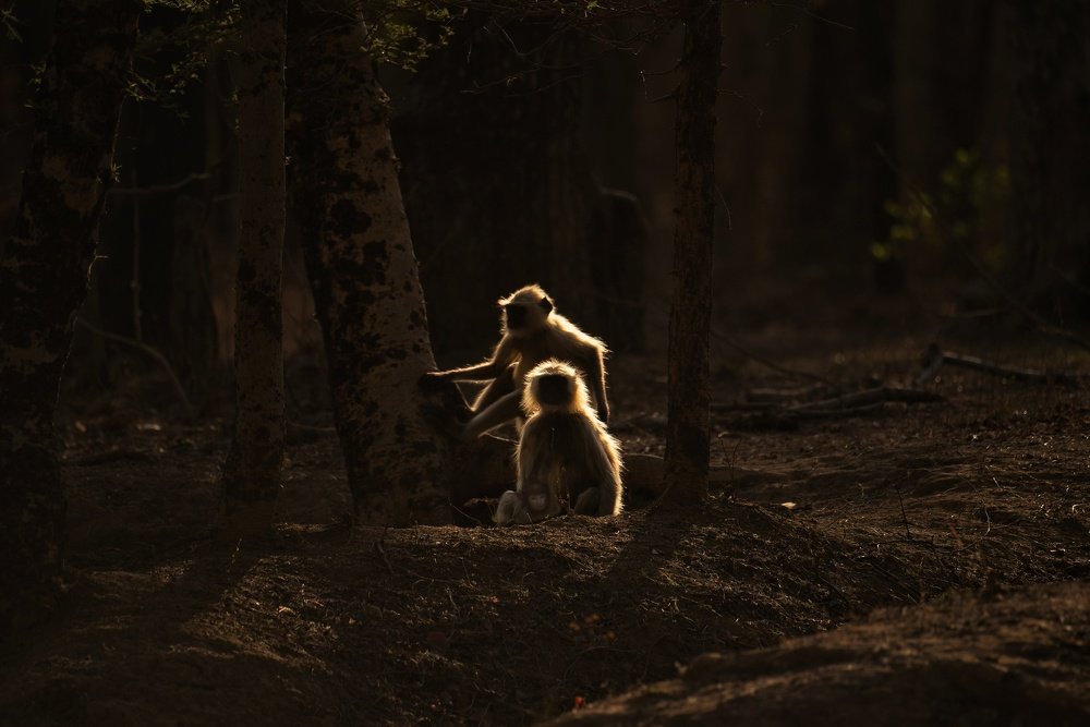 Photograph by Ujwal Pasupuleati