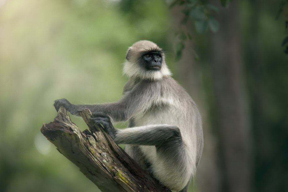 Photograph by Ujwal Pasupuleati