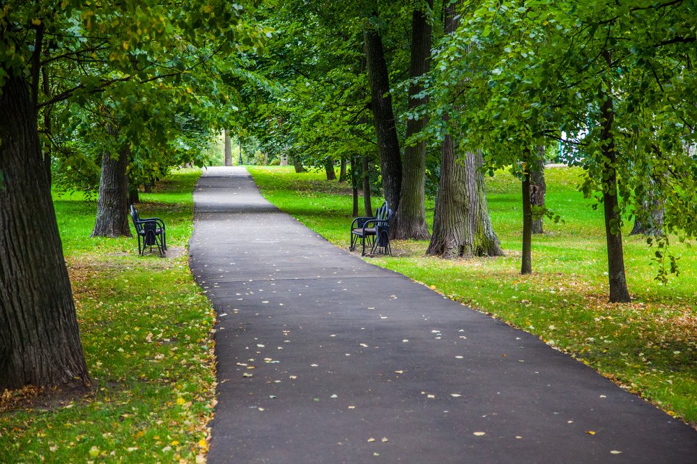 Photograph by Александр Лапшин