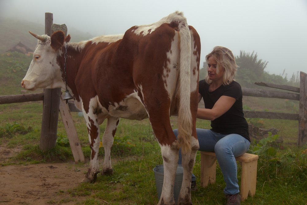 Свеженькое молочко