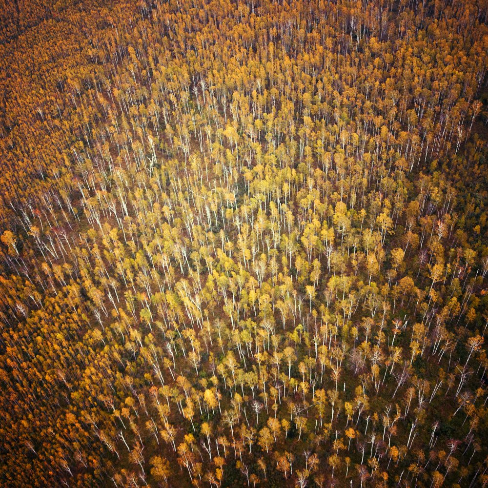 Photograph by Людмила Сиденко