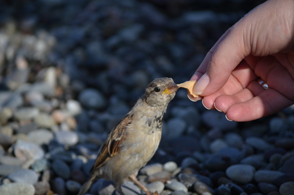 Photograph by Юлия Брежнева